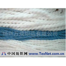 扬州万成织造有限公司 -超细纤维线绳